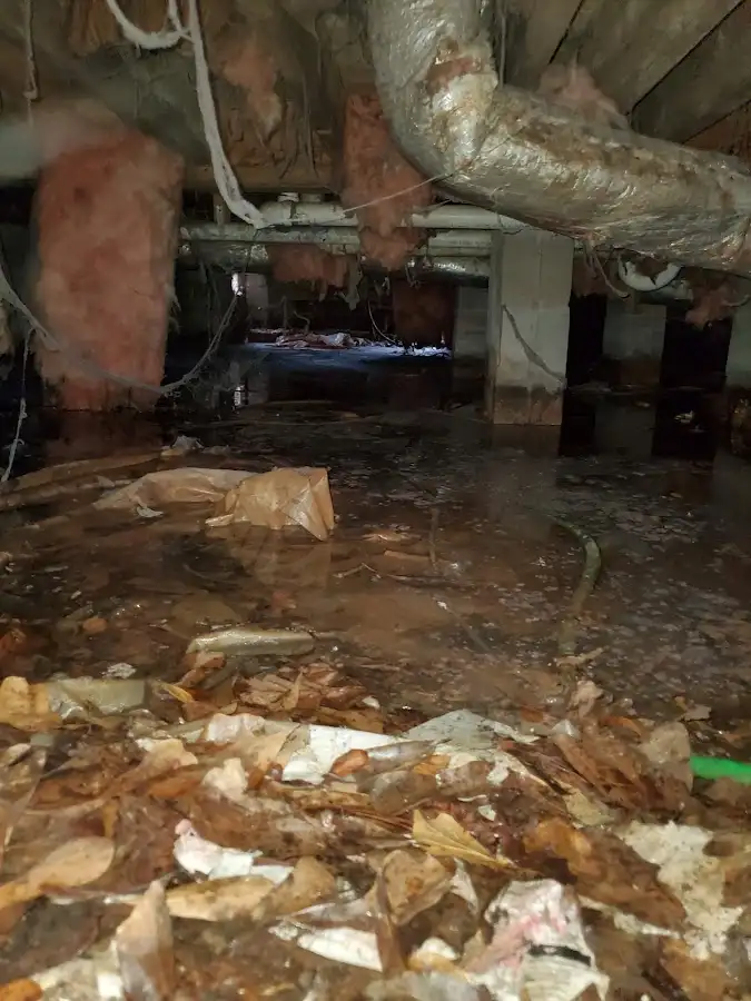 Crawl space flood assessment for Leak Detection & Repair in Barling